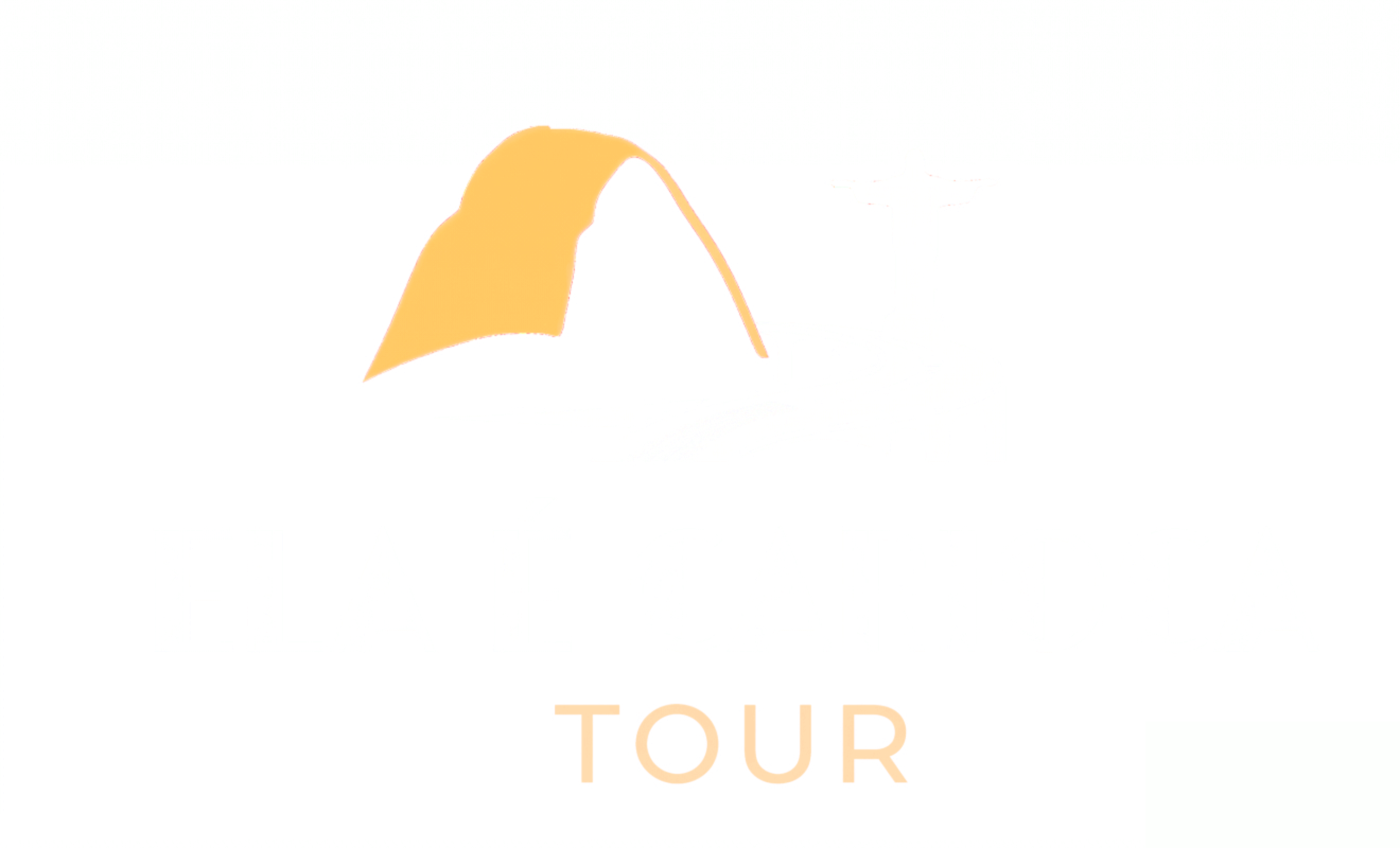 Ela é Carioca Tour
